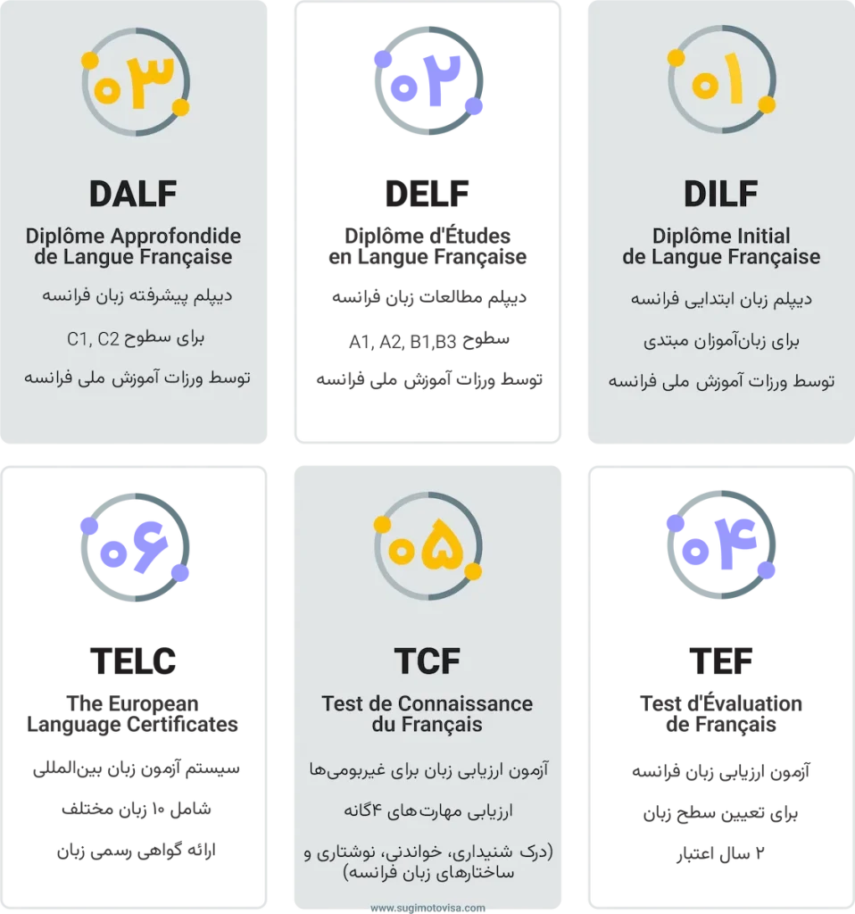 انواع دوره های زبان فرانسه 