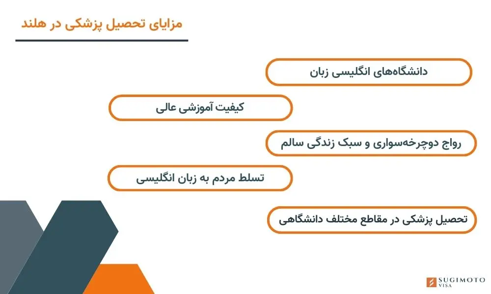 مزایای تحصیل پزشکی در هلند