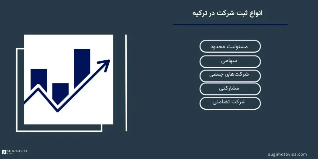 انواع ثبت شرکت در ترکیه